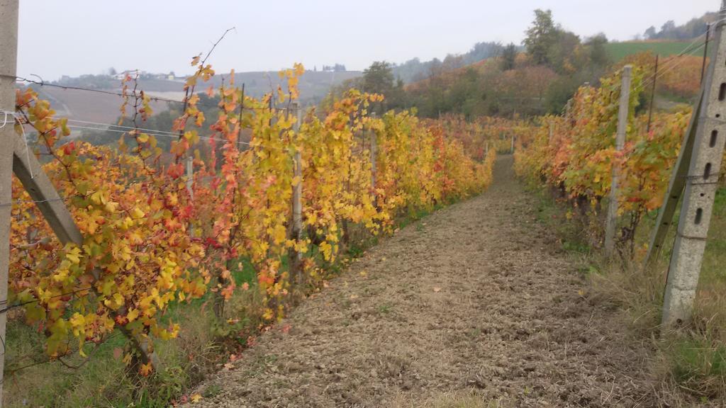Cascina Torello Dogliani Exterior foto
