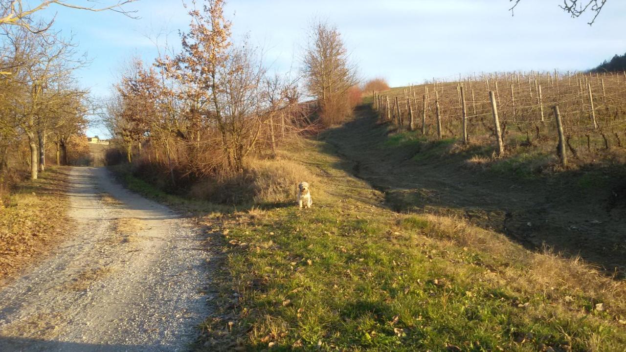 Cascina Torello Dogliani Exterior foto